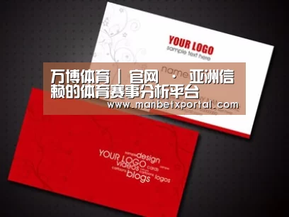 项目名称八
