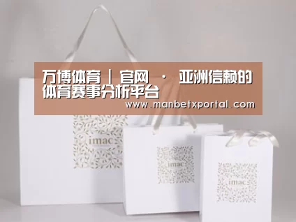 项目名称十一
