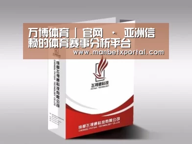项目名称十三