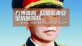 万博体育-欧盟能源安全战略探析(图1) 万博体育入口
