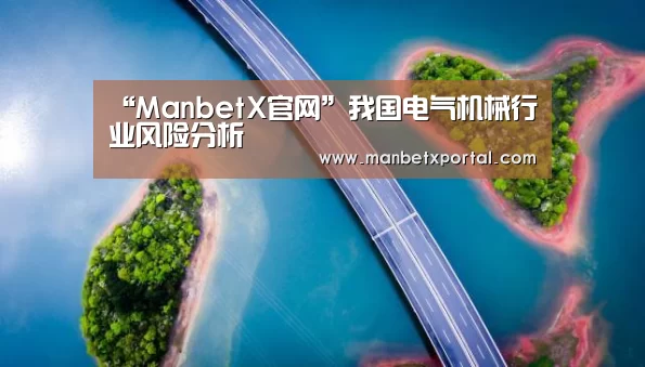“ManbetX官网”我国电气机械行业风险分析(图2) 万博官网